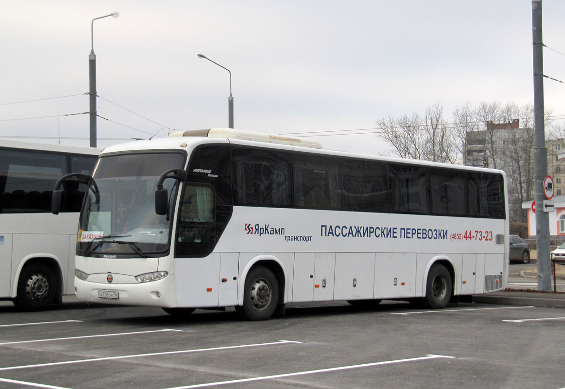 Ярославская область, Marcopolo Andare 1000 (ГолАЗ) (Hyundai) № А 256 СН 76