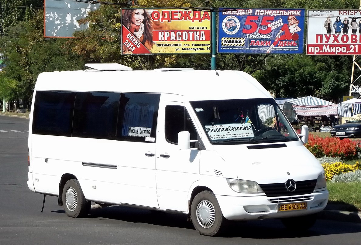 Николаевская область, Mercedes-Benz Sprinter W903 313CDI № BE 6506 AA