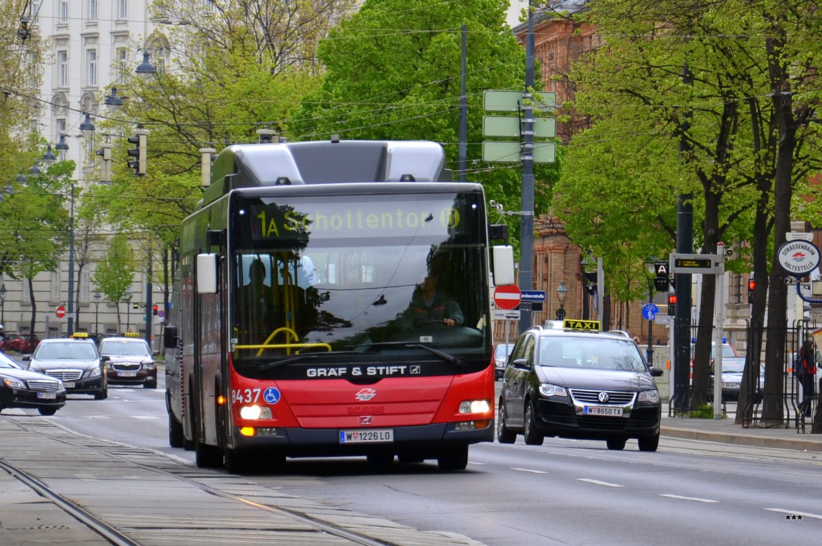 Австрия, MAN A21 Lion's City NL273 LPG № 8437