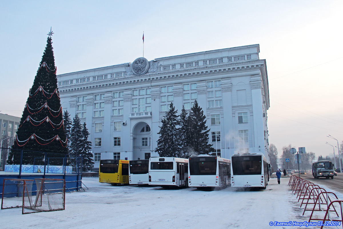 Кемеровская область - Кузбасс — Новые автобусы