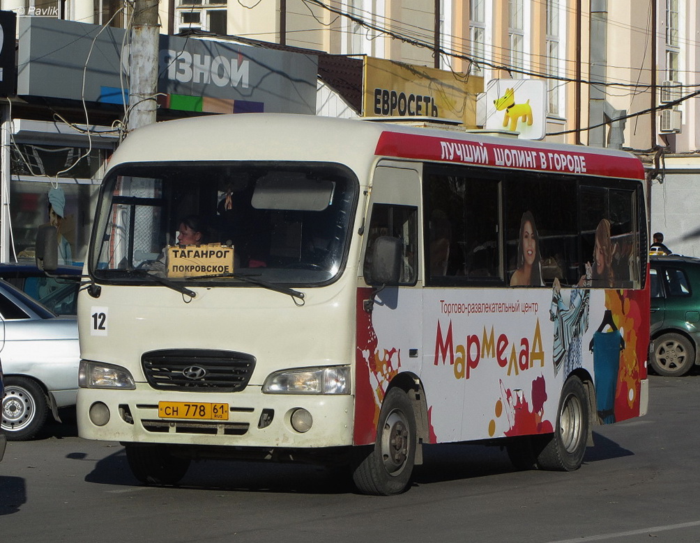 Ростовская область, Hyundai County SWB C08 (РЗГА) № 12