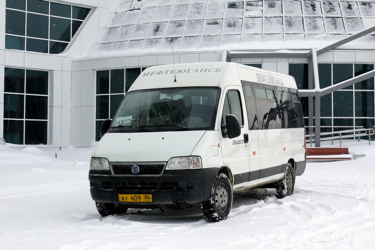 Ханты-Мансийский АО, FIAT Ducato 244 CSMMC-RLL, -RTL № АУ 409 86 — Фото —  Автобусный транспорт