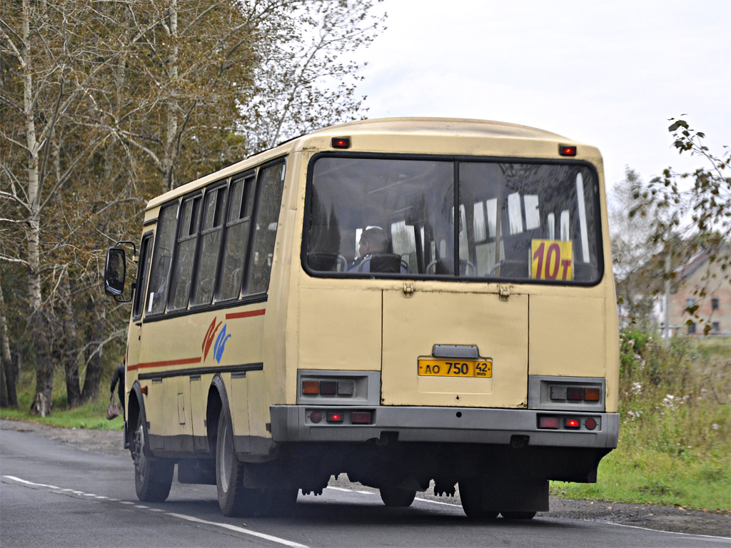 Кемеровская область - Кузбасс, ПАЗ-4234 № 100