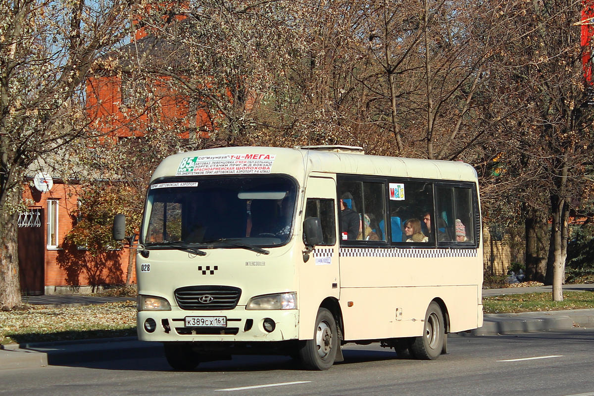 Растоўская вобласць, Hyundai County SWB C08 (РЗГА) № 028