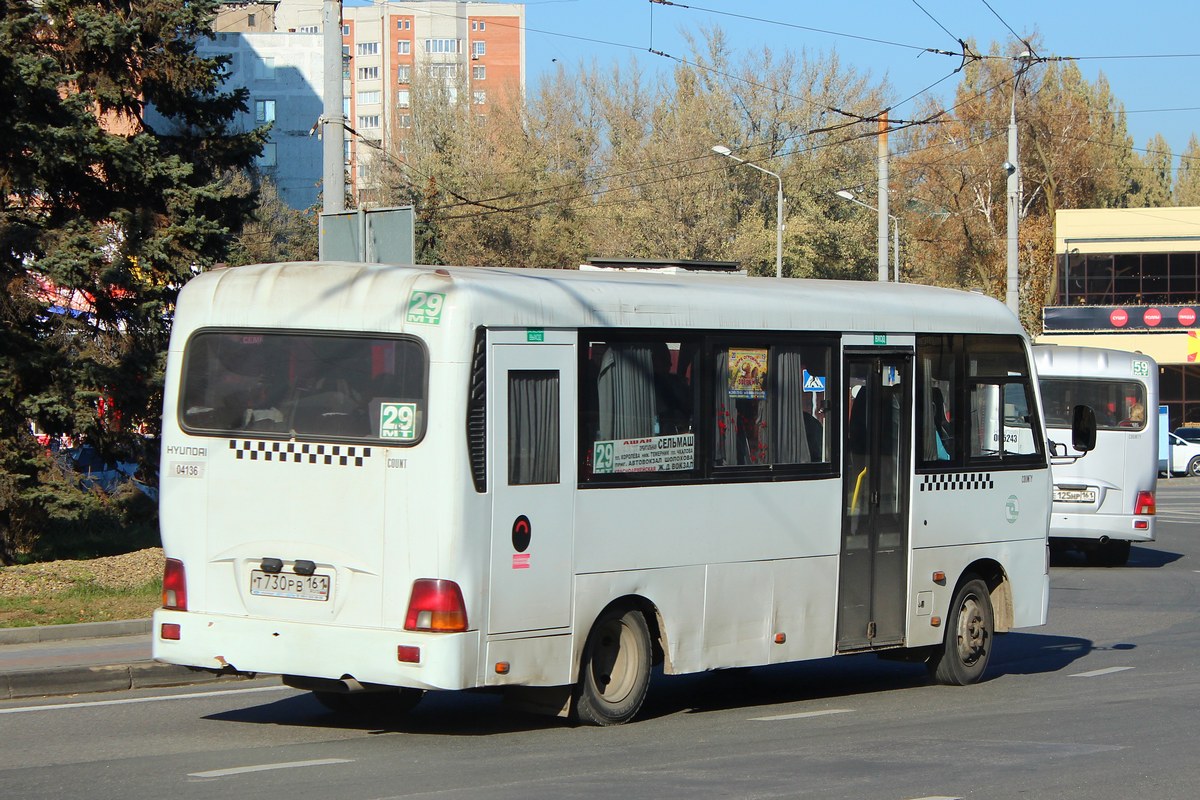 Ростовская область, Hyundai County LWB C11 (ТагАЗ) № 04136