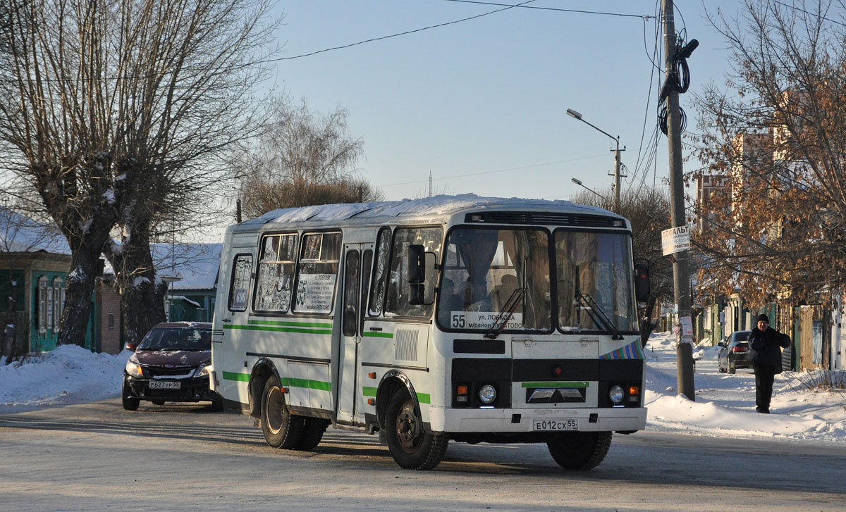 Омская область, ПАЗ-3205-110 № 696