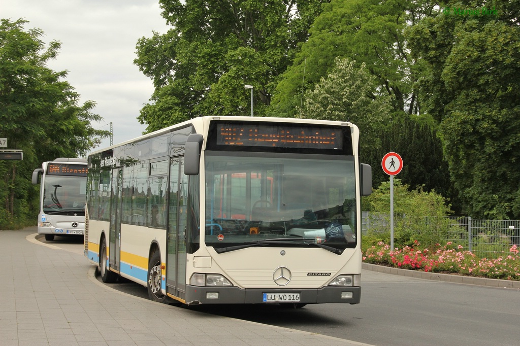 Рейнланд-Пфальц, Mercedes-Benz O530 Citaro № 116