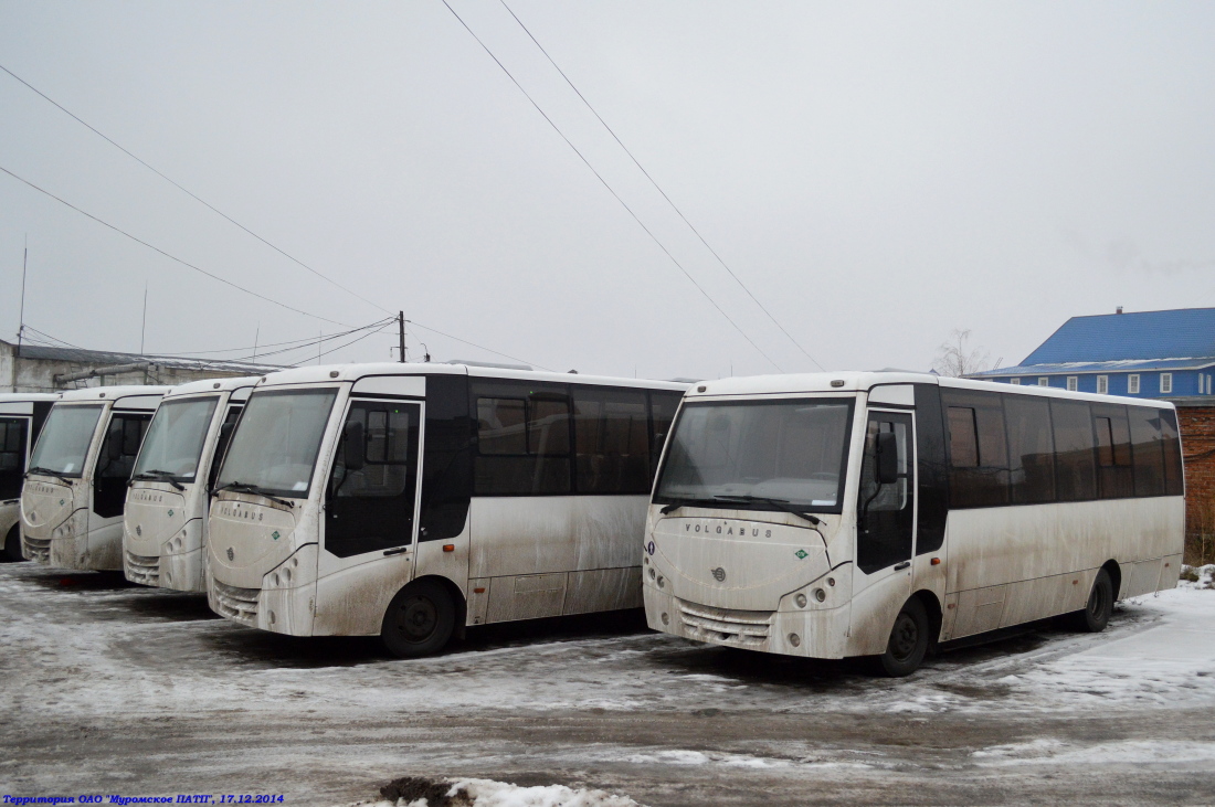 Владимирская область — Автобусы без номеров