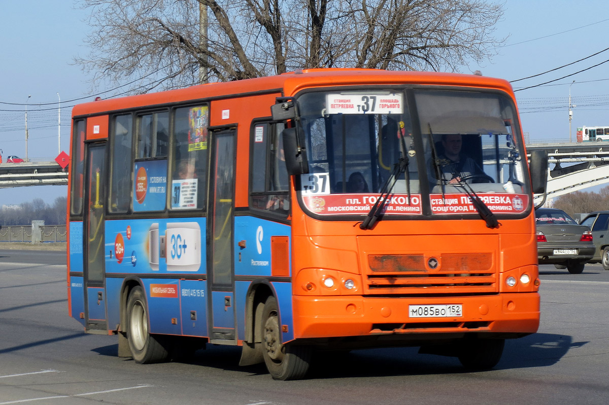 Нижегородская область, ПАЗ-320402-05 № М 085 ВО 152