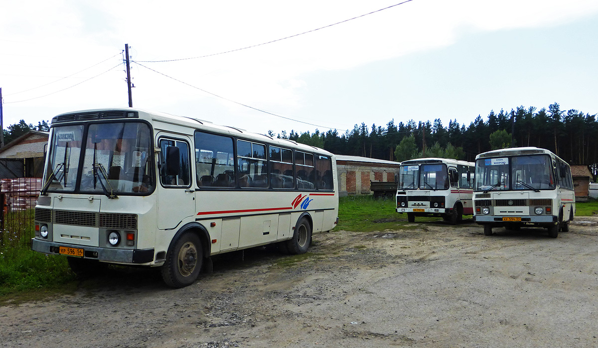 Новосибирская область, ПАЗ-4234 № КР 596 54; Новосибирская область, ПАЗ-32054 № КР 594 54; Новосибирская область — Разные фотографии