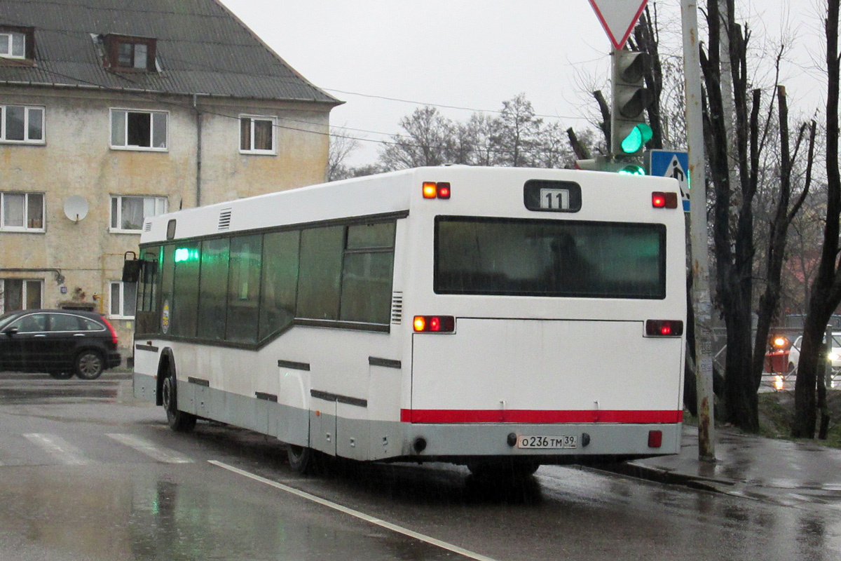 Калининградская область, Neoplan N4014NF № О 236 ТМ 39