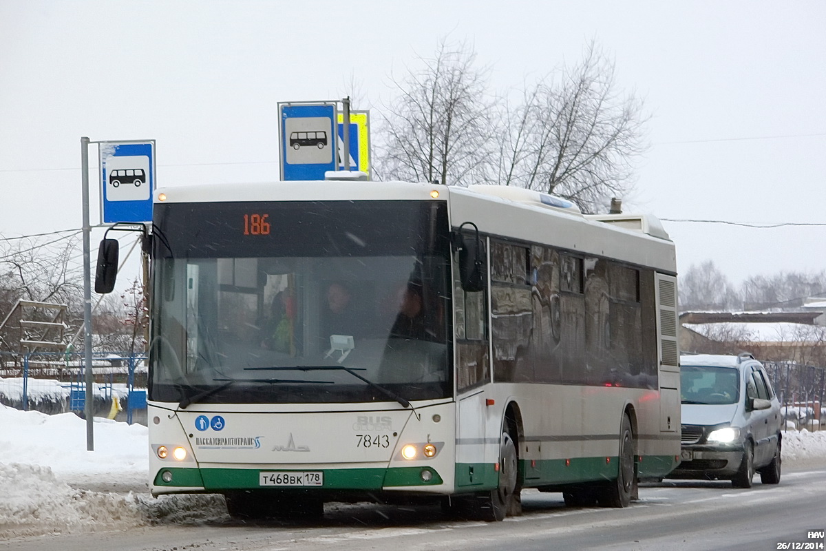 Санкт-Петербург, МАЗ-203.085 № 7843