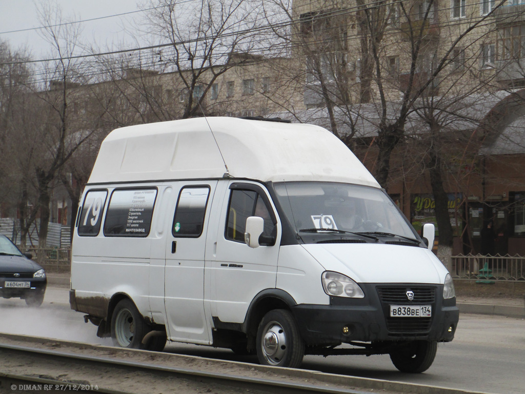 газель луидор фото