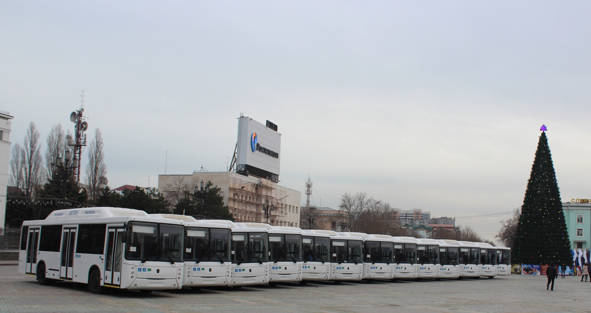 Dagesztán — New Buses