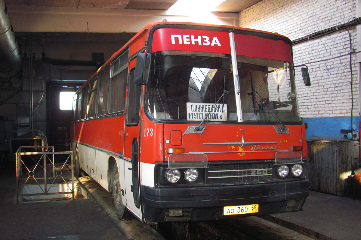 Пензенская область, Ikarus 250.59 № 173