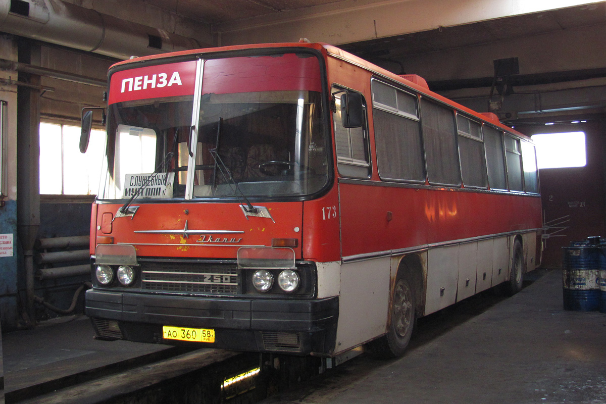 Пензенская область, Ikarus 250.59 № 173