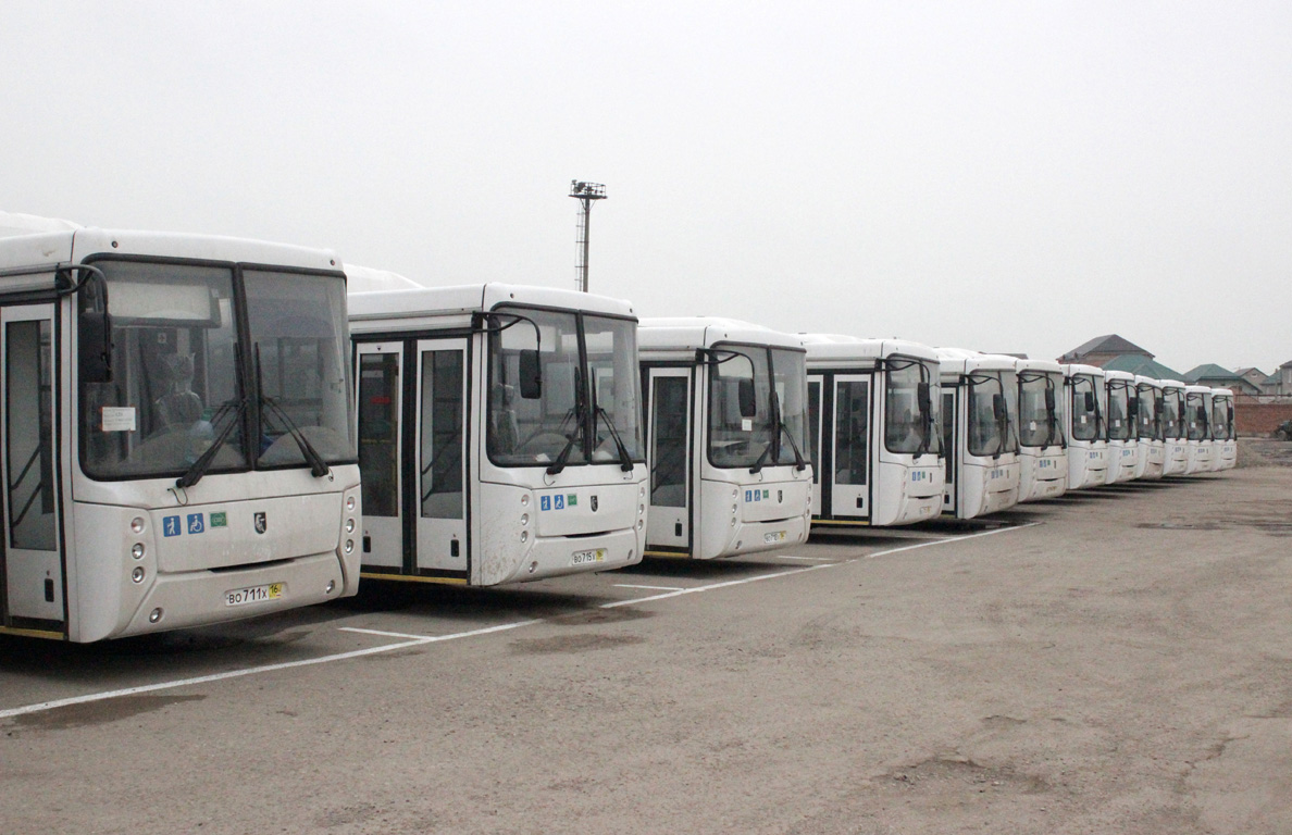 Dagestan — New Buses