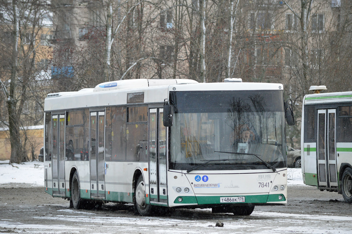 Санкт-Петербург, МАЗ-203.085 № 7841