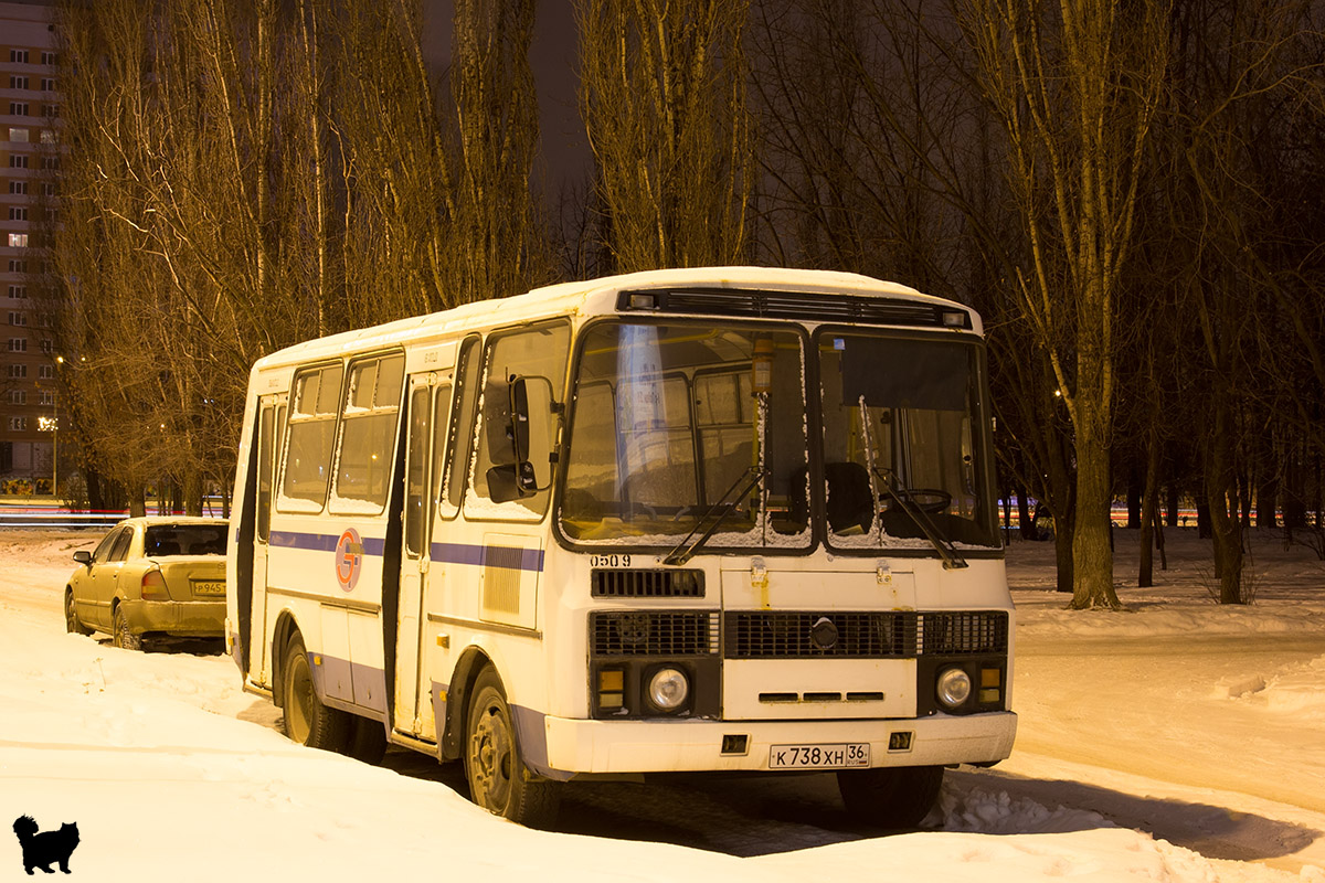 Воронежская область, ПАЗ-32054 № К 738 ХН 36