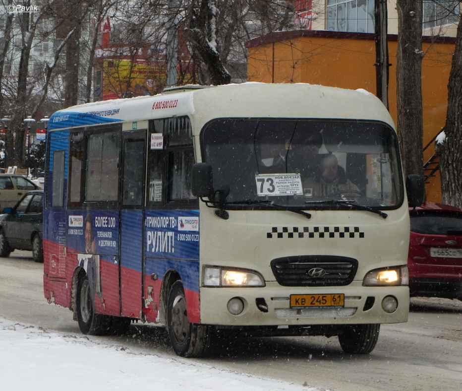 Ростовская область, Hyundai County SWB C08 (РЗГА) № 002066