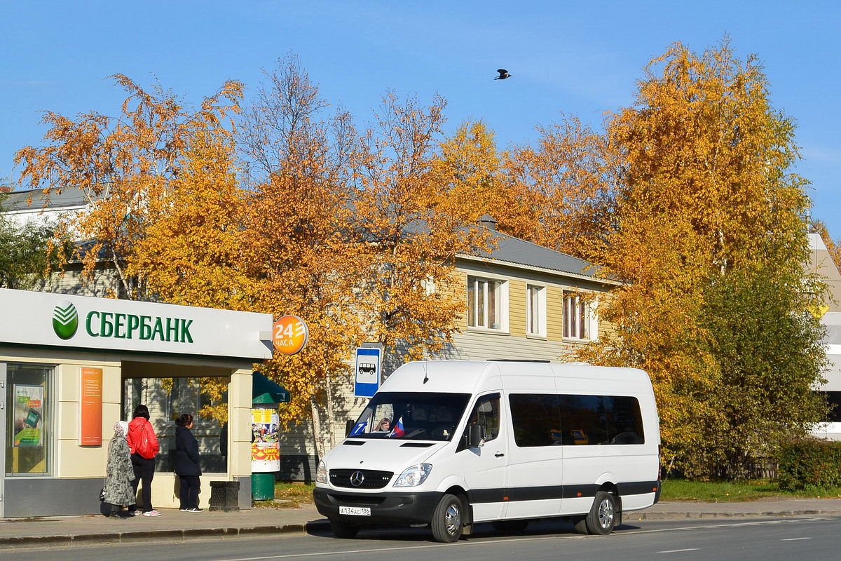 Ханты-Мансийский АО, Луидор-22360C (MB Sprinter) № А 134 АС 186