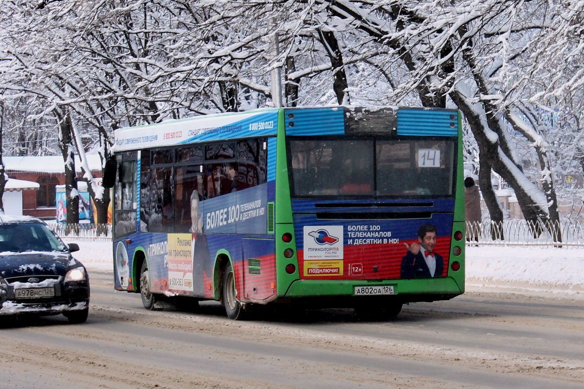 Ставропольский край, МАЗ-206.067 № 50