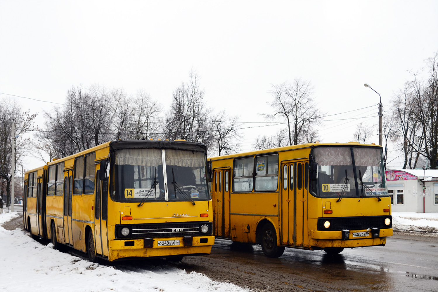 Брянская область, Ikarus 280.64 № 447