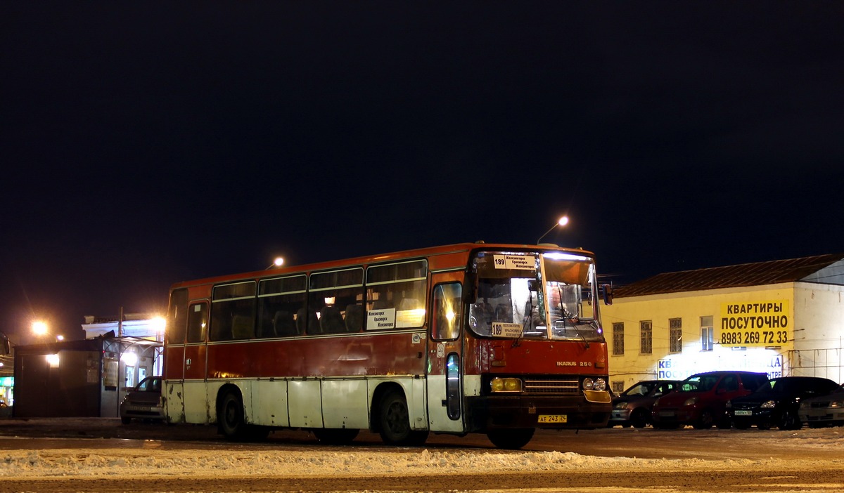 Красноярский край, Ikarus 256.74 № АЕ 243 24