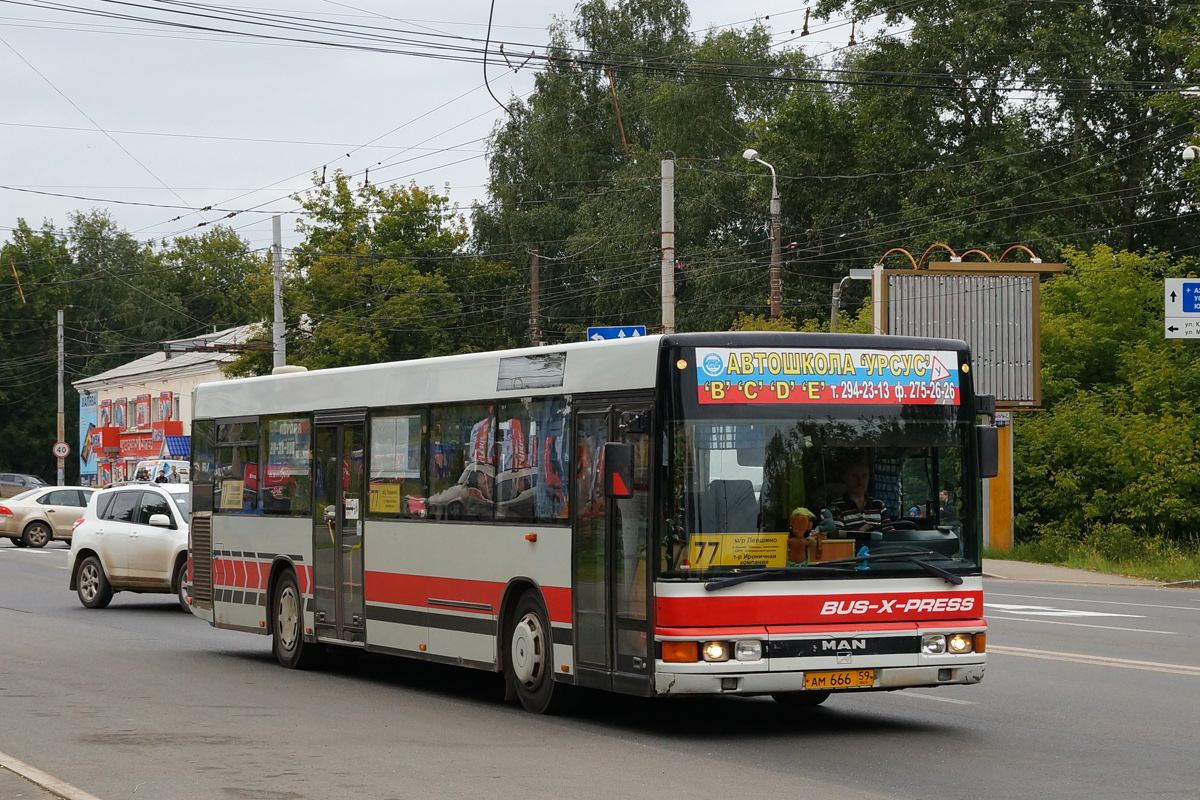 Пермский край, MAN A20 NÜ313 № АМ 666 59