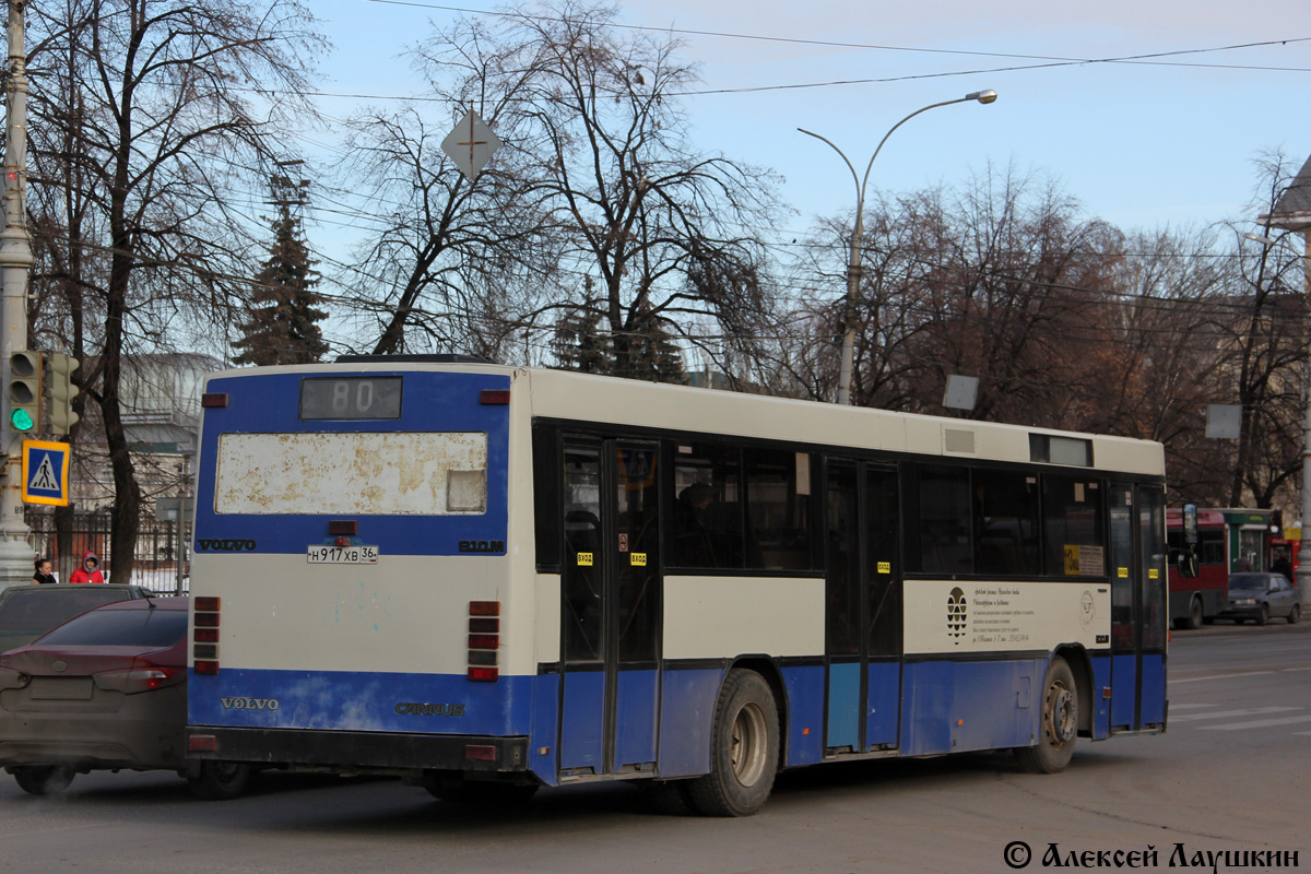 Воронежская область, Carrus K204 City № Н 917 ХВ 36