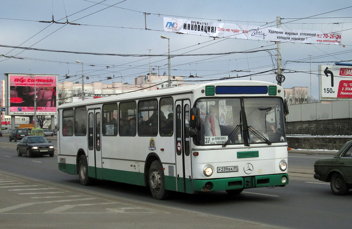 Kaliningrad region, Mercedes-Benz O307 Nr. Р 239 ВА 39