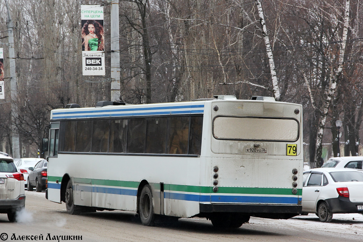 Voronezh region, Wiima K202 č. К 920 УО 36