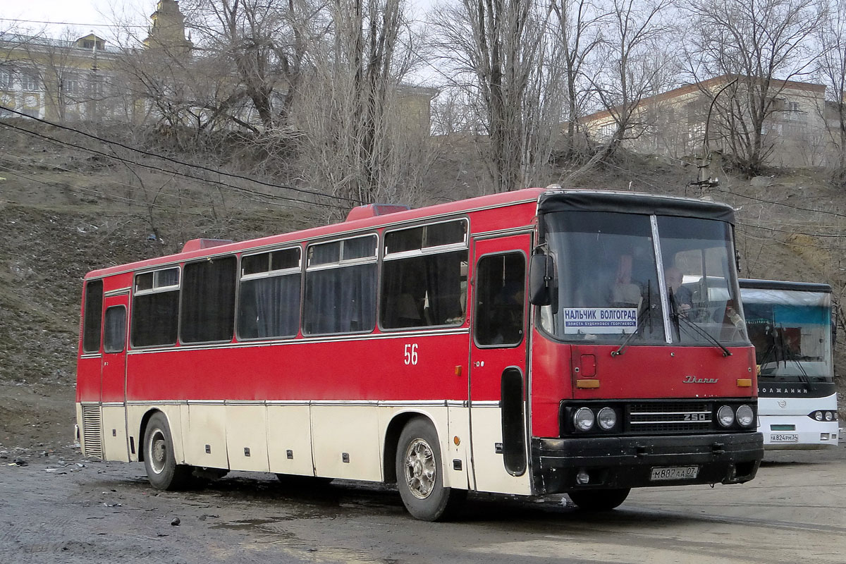 Вокзал нальчик автобус. Икарус 250 93. Икарус 250.56. Автобус Волгоград Нальчик Икарус 250. Икарус 250 автовокзал Краснодар -1.