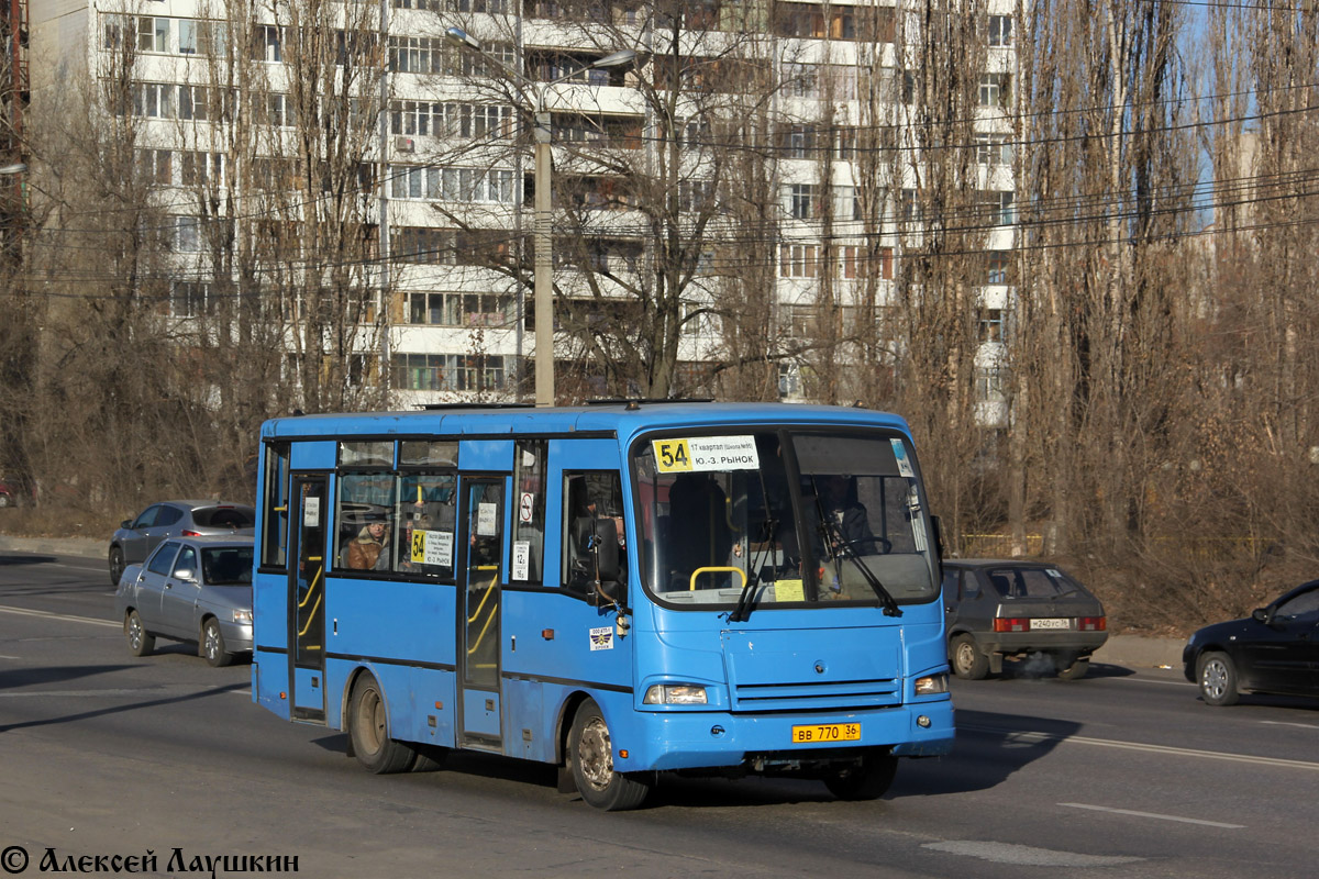 Воронежская область, ПАЗ-320401-01 № ВВ 770 36 — Фото — Автобусный транспорт