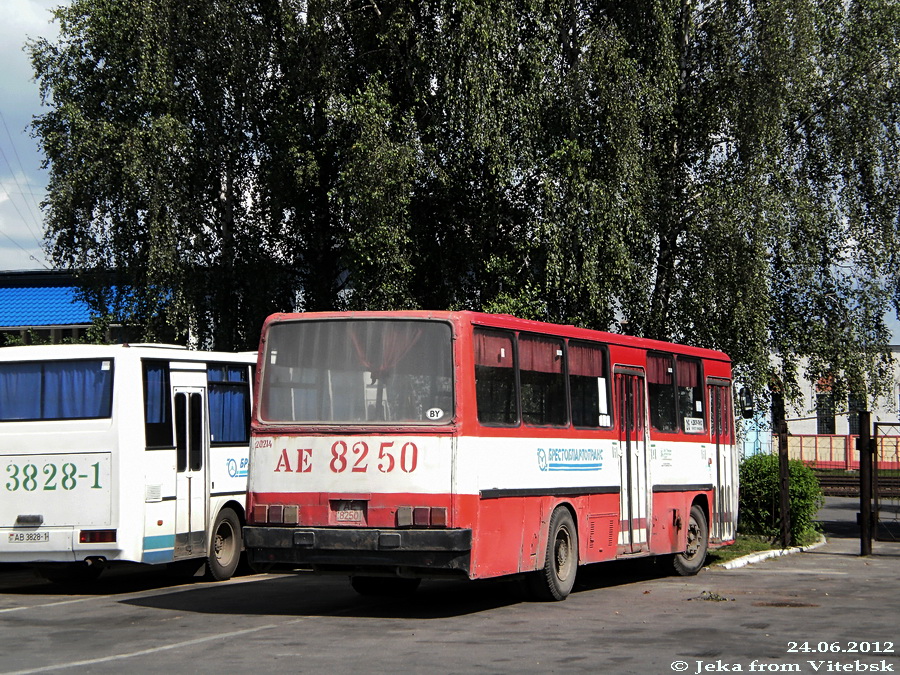 Брестская область, Ikarus 260.43 № 20214