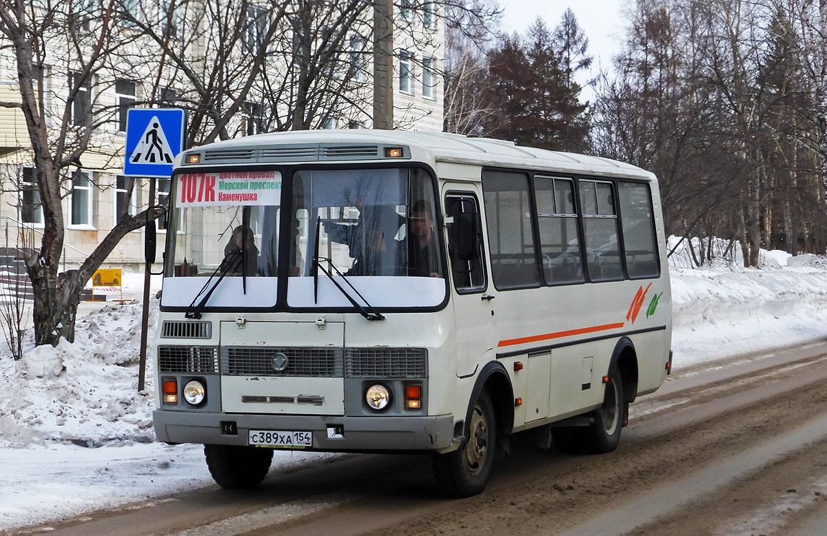 Новосибирская область, ПАЗ-32054 № С 389 ХА 154