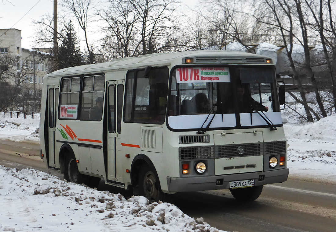 Новосибирская область, ПАЗ-32054 № С 389 ХА 154