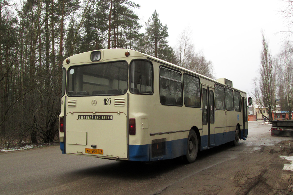 Калининградская область, Mercedes-Benz O305 № 1137