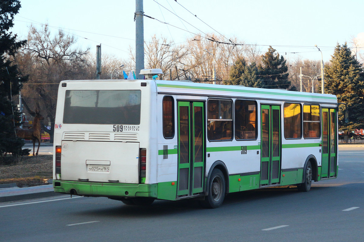 Ростовская область, ЛиАЗ-5256.53 № 509