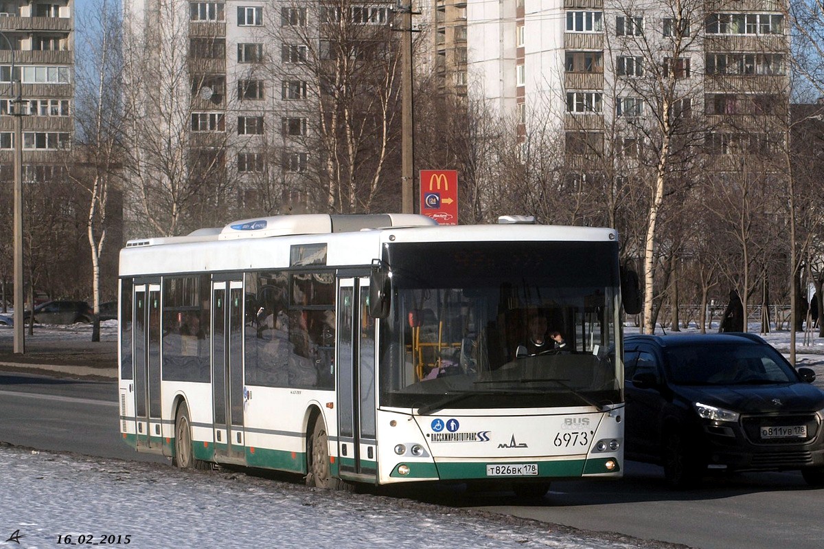 Санкт-Петербург, МАЗ-203.085 № 6973