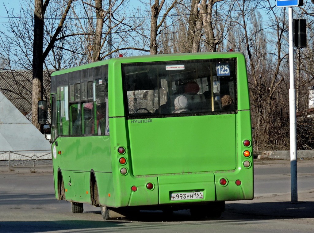 Ростовская область, Богдан А20111 № В 993 РН 161