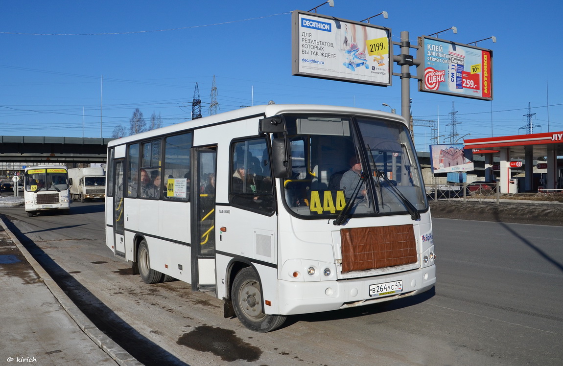 Ленинградская область, ПАЗ-320402-05 № В 264 УС 47