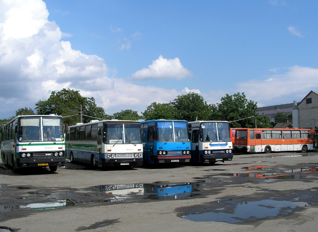 Volyňská oblast, Ikarus 256 č. 013-14 ВО; Volyňská oblast, Ikarus 250.59 č. 1167 ВНО; Volyňská oblast, Ikarus 250.59 č. 1894 ВНН; Volyňská oblast, Ikarus 256.75 č. 6052 ВНН; Dnipropetrovská oblast, Ikarus 250.59 č. 067-08 АВ