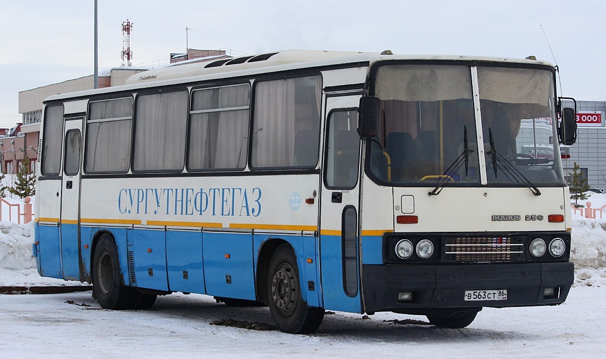 Номер автовокзала ханты. Ikarus 256.21h. Сургут Икарус. Автобус Сургут. Автобус Сургут Тюмень.