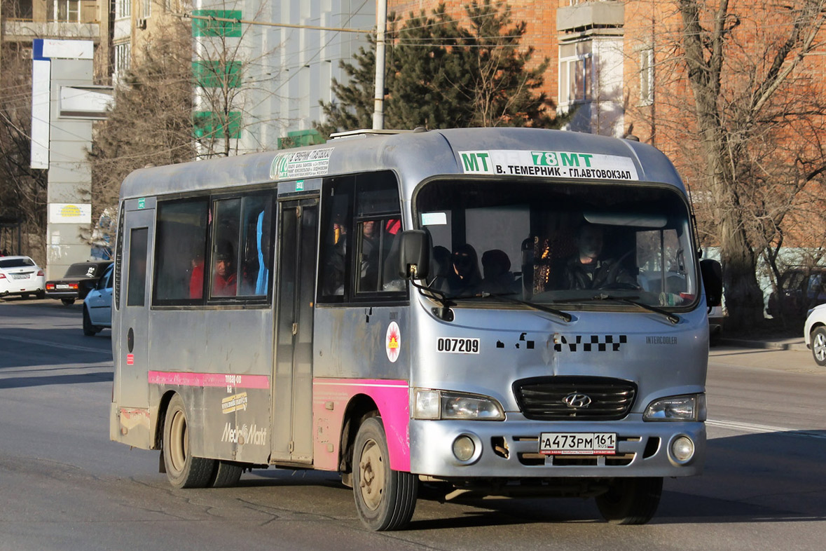 Ростовская область, Hyundai County LWB C09 (ТагАЗ) № 007209