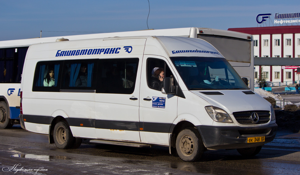 Башкортостан, 906.655 (Mercedes-Benz Sprinter 515CDI) № 1304