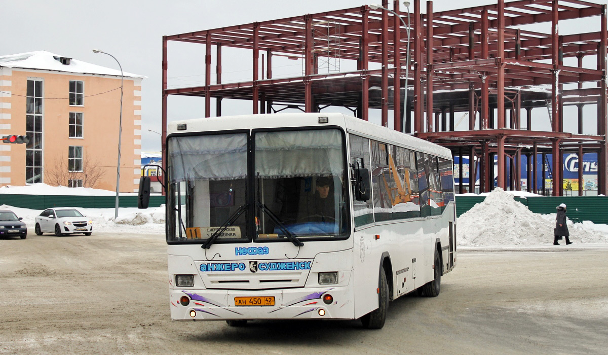 Kemerovo region - Kuzbass, NefAZ-5299-10-15 Nr. 51