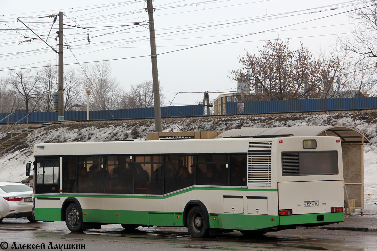 Воронежская область, МАЗ-103.060 № У 921 ХУ 36