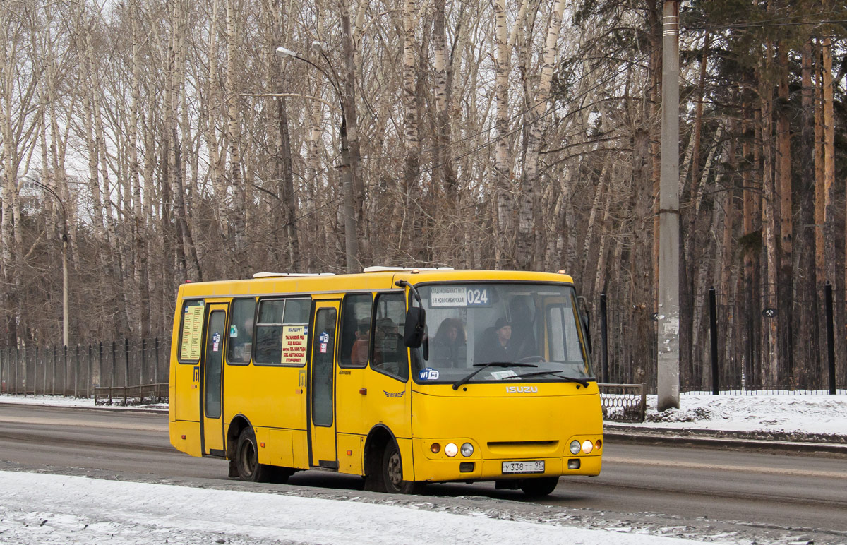 Свердловская область, ЧА A09204 № У 338 ТТ 96