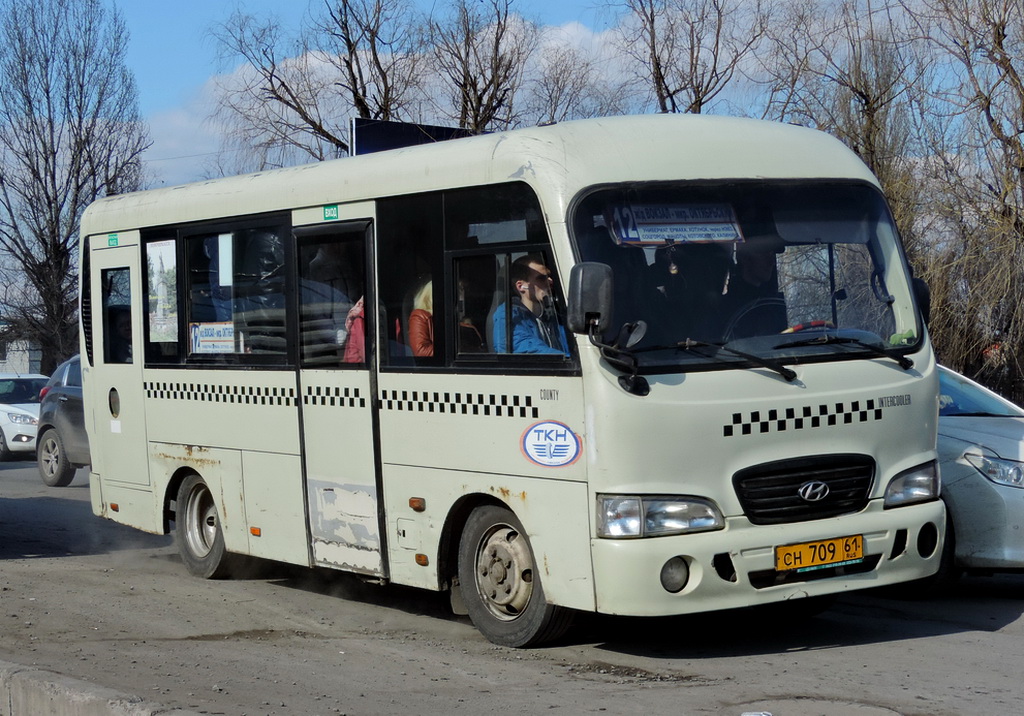 Rostov region, Hyundai County SWB C08 (RZGA) # СН 709 61